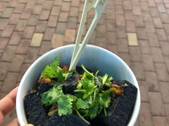 -黑色经典臭豆腐·湖南特产(步行街店)