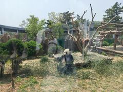 -大连森林动物园