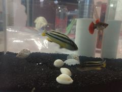 -CGV影城(梅江ScreenX店)