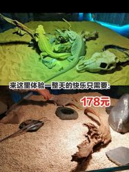 -七巧国萌宠乐园(龙湖天街店)