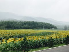 -塞罕坝国家级自然保护区