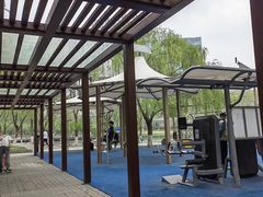 -大兴滨河森林公园