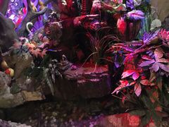 -醉小酒馆·川菜·江湖菜·重庆菜(观音桥旗舰店)