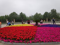 -廊坊市自然公园