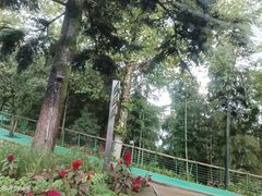 -莫干山风景区
