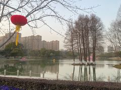 -青枫公园