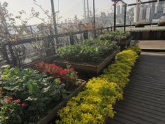 -冰冰龙虾·江湖菜·花园江景餐厅