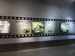 -上海昆虫博物馆