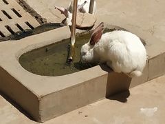 -石家庄市动物园