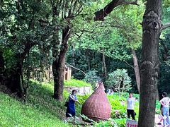 -东湖落雁景区