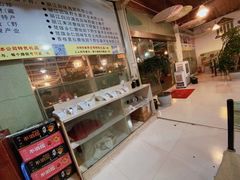 -蘑统田下·野生菌火锅