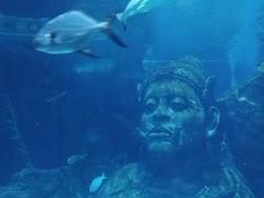 -暹罗海洋世界