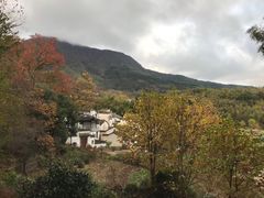-塔川景区