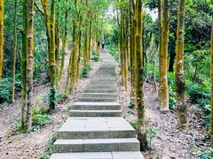 -阳台山森林公园