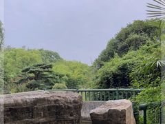 -东湖落雁景区