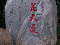 -武汉大学-樱园