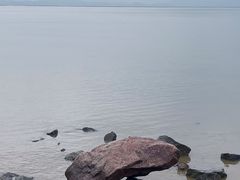 -深圳湾公园(南山区)