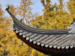 -西园戒幢律寺