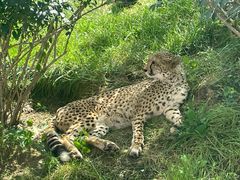 -北京野生动物园