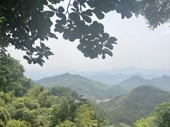 -莫干山风景区