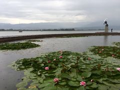 -西昌邛海湿地