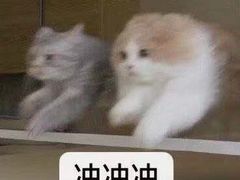 -CoCo都可(江宁托乐嘉店)