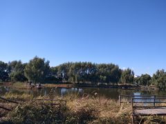 -白渔泡湿地公园