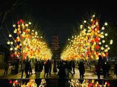 -龙华寺