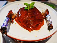 精品烤鸭-悦江(梅奔中心店)