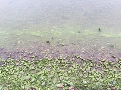 -苏州吴中太湖旅游区