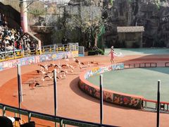 -上海野生动物园