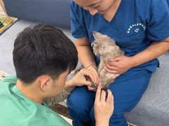 -派美特宠物医院·核磁CT·骨科肿瘤·疑难转诊(沈农禾丰店)