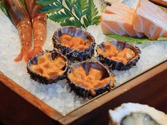-Mr.Fish鱼鲜生海鲜放题(高德置地冬广场店)