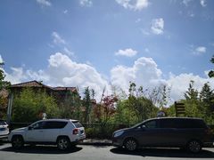 -上海崇明金茂凯悦酒店