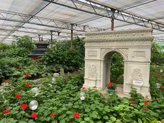 -南宫五洲植物乐园