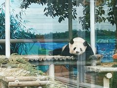 -苏州太湖国家湿地公园