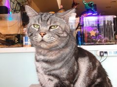 -平行世界·猫咖(首经贸店)