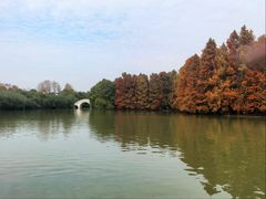 -上海海湾国家森林公园