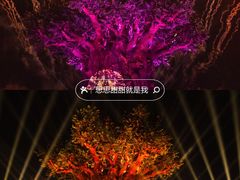 -郑州银基国际旅游度假区