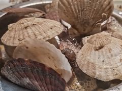 -圣罗巴海鲜烤肉自助(赤峰店)