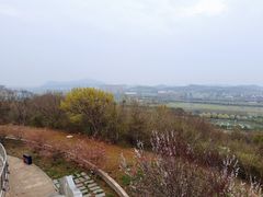 -羊山湖公园