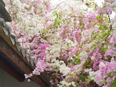 -深圳国际园林花卉博览园