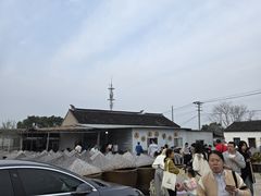 -苏州市吴中区光福窑上花果蜜饯厂