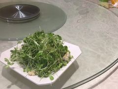 桃仁香椿苗-南来顺饭庄·清真(南菜园店)