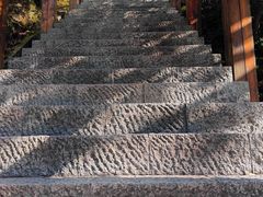 -云碧峰国家森林公园