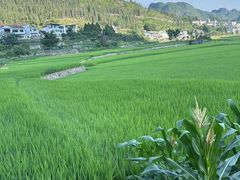 -万峰林风景区