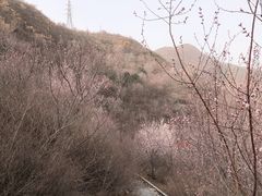 -定都峰