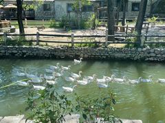 -卧龙堡客栈·中餐厅(古北水镇店)