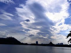 -顺峰山公园