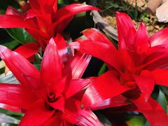 -三旗百汇商品城